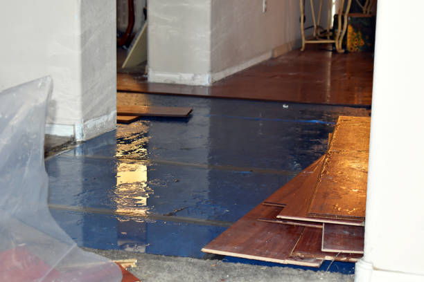 Professional Emergency Water Damage Restoration technician working in Candler, NC